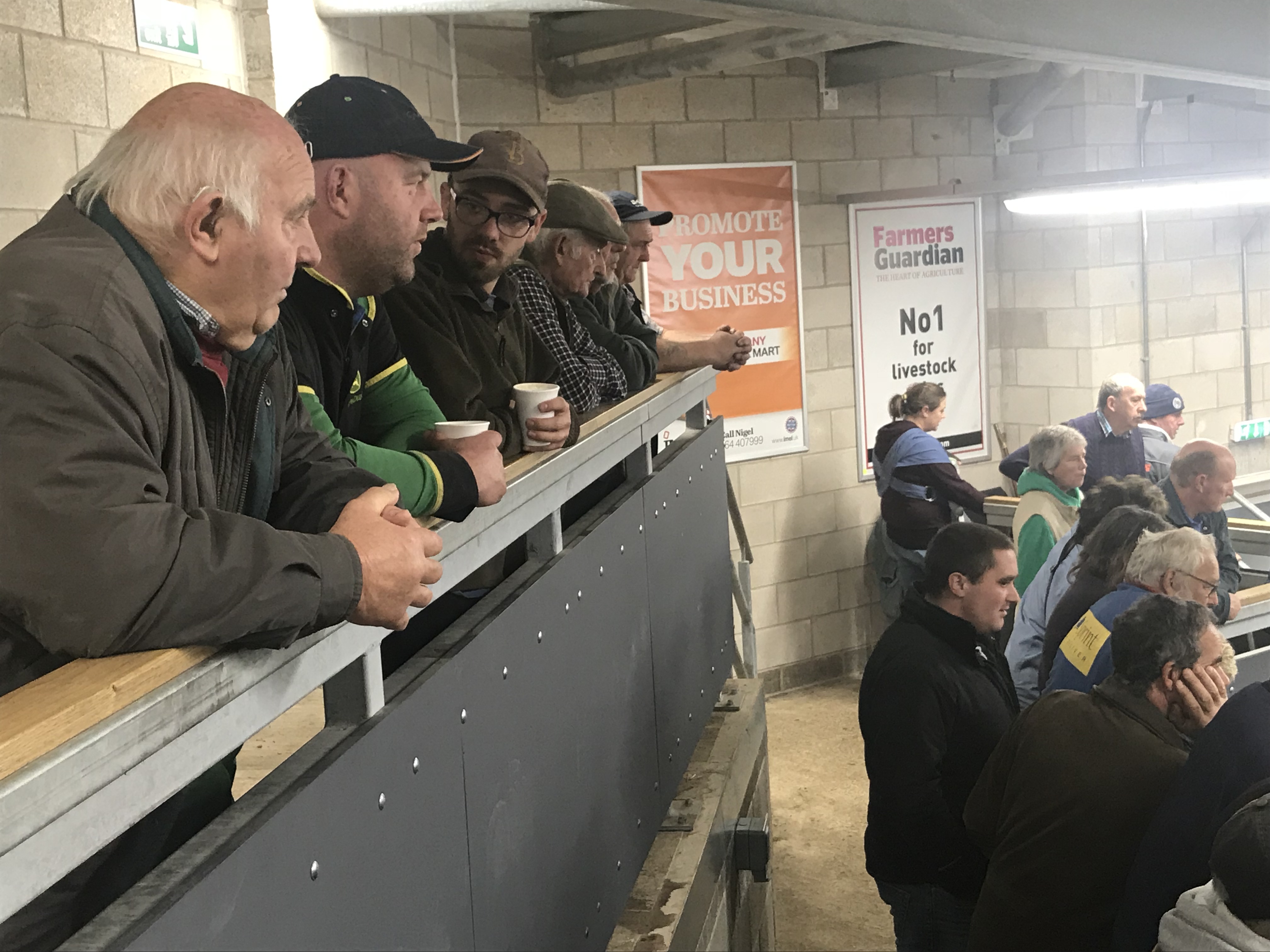 Melton Mowbray Livestock Market Visit Belvoir