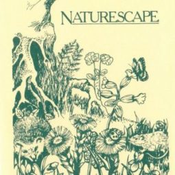Naturescape Wildflower Farm, Langar